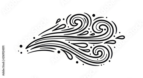 Elegant Black and White Swirls and Curves Design.