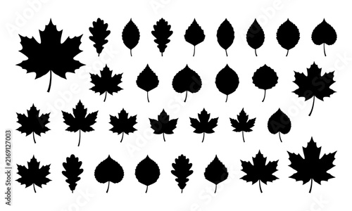 A collection of various black silhouettes featuring different shapes of autumn leaves isolated on a white background