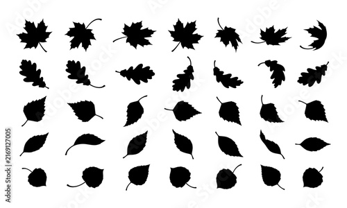 A comprehensive collection of black silhouettes featuring various autumn leaves isolated on a clean white background for design
