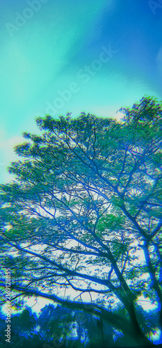 Foto Vertical surreal digital art showing tree branches silhouette against teal sky with chromatic aberration glitch effect