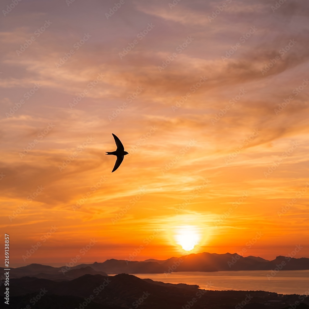Fototapeta premium Silhouette of a swift bird flying gracefully across a vibrant sunset sky over a calm body of water and distant mountains.