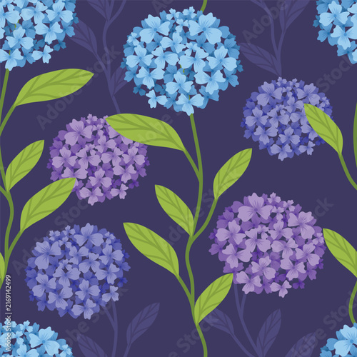 Beautiful hydrangeas with green leaves on dark background isolated on transparent background