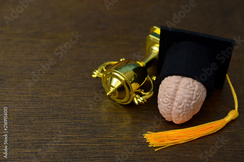 Konstfotografi Education and Intelligence Concept with Graduation Cap, Brain and Trophy