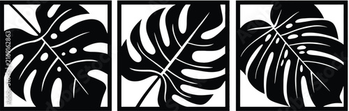Stylish Set of Three Black and White Monstera Leaf Illustrations