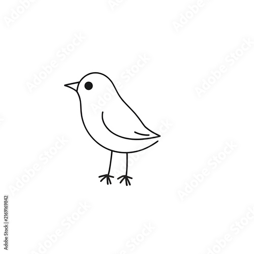 A Bird Vector Illustration