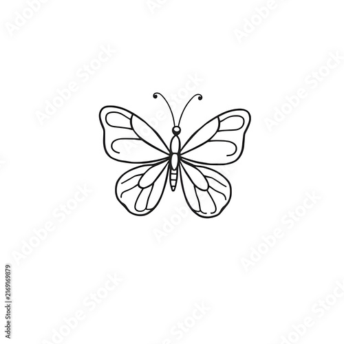 A Butterfly Vector Illustration
