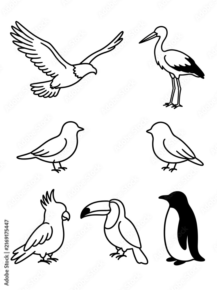 Naklejka premium Various outlined birds including a flying eagle stork parrot toucan and penguin rendered in a simple clean black white style