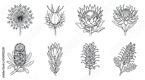 Vintage botanical line art, 8 hand drawn floral vector icons, black and white wildflower sketches for wedding invitations