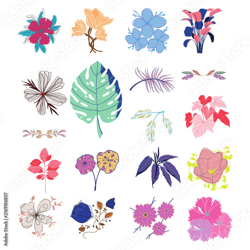 Hand Drawn Floral Elements Vector Set Colorful Flowers Tropical Leaves Clipart Collection