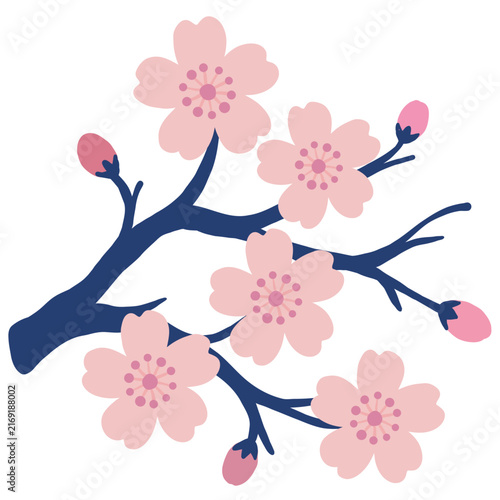 Minimal flat full sakura statement branch illustration, large cherry blossom branch with buds clipart top view, botanical flower icon isolated on white background