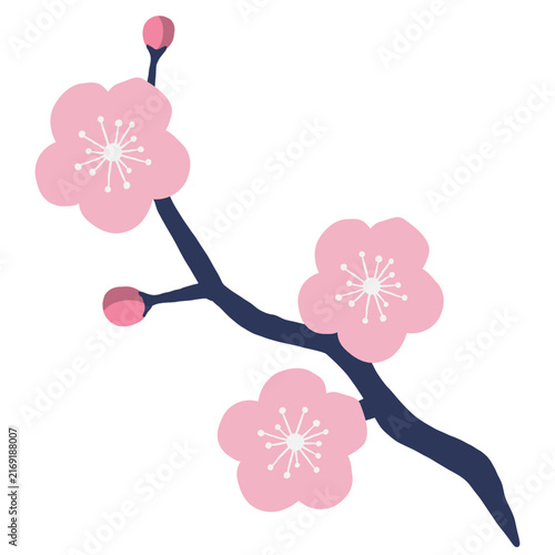 Minimal flat pink plum blossom branch illustration, dusty pink angular branch clipart top view, botanical flower icon isolated on white background