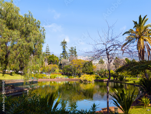 Lake in Parque de Santa Catarina, City Park in Funchal (Madeira, Portugal)