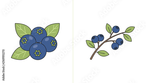 Two flat cartoon style illustrations of blueberries, showing a tight cluster with leaves and a detailed branch of berries.