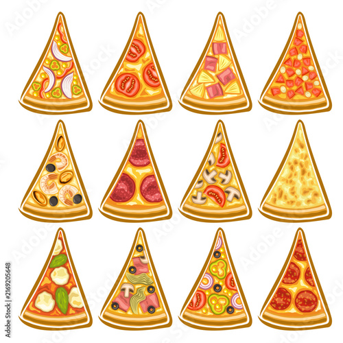 Vector Pizza Pieces Set