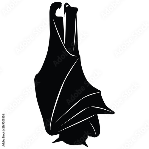 Bild auf Leinwand solid black silhouette illustration of a bat hanging upside down with its wings