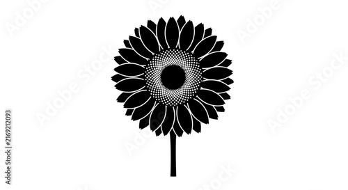 Minimalist solid white background vector illustration. Clean blank canvas for graphic design projects, web backdrop, or copy space for professional creative layouts and presentations.