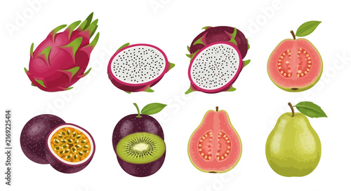 Exotic with collection colorful illustrations various fruits fruit guava passionfruit fruits with dragon fruit nutrition with including, tropical