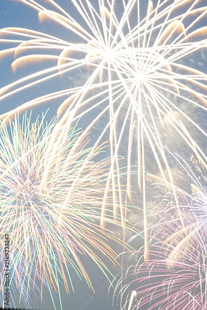 Obraz premium Colorful fireworks lighting up the night sky at summer festival