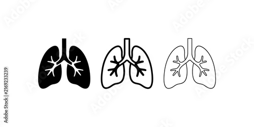 Cuadro en lienzo Human lungs anatomy icons showing respiratory system outline designs