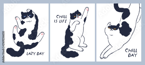 Cute cats, vector graphic poster backgrounds. Cat animals, graphic poster designs. Cards with black and white doodle kitties illustrations. Cute hand-drawn vector illustrations, line drawings