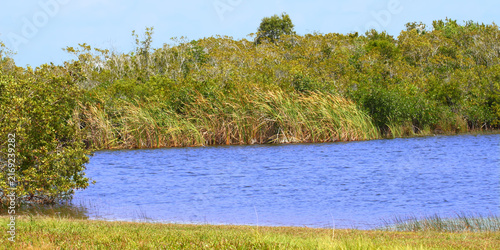 Beautiful scenery at Everglades National Park of Florida