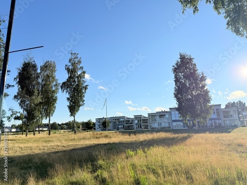 Konstfotografi Peaceful lakeside view with big tree, blue sky, duck and sun shine