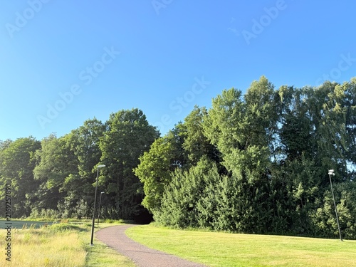 Foto Peaceful lakeside view with big tree, blue sky, duck and sun shine