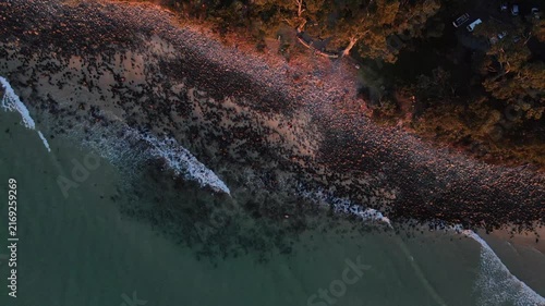 Aerial view of golden hour sunset over dense mountain forest meeting rocky shoreline and ocean waves.