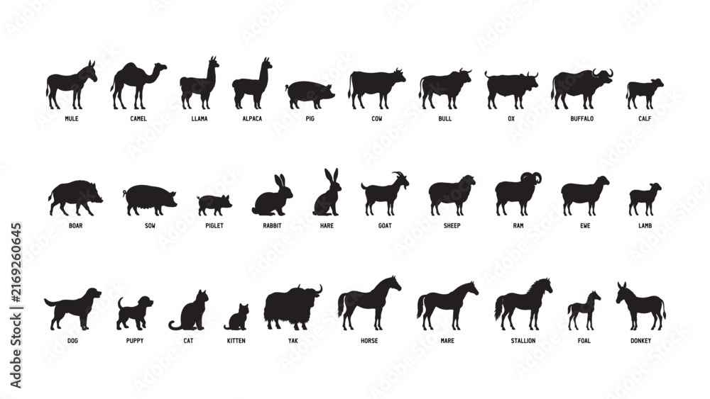 Naklejka premium Domestic Animals Silhouette Vector Collection Farm Livestock Pet Animal Shapes
