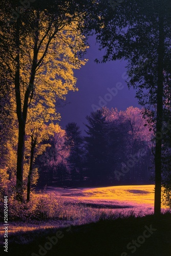 Dramatic purple and yellow forest clearing with trees and grass