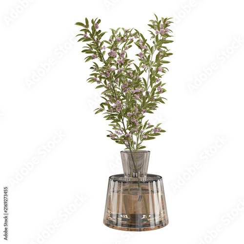 Elegant leafy flowering branches with small white blossoms arranged in glass vase, isolated, creating a natural botanical accent charming detail to the home interior decor, weddings, and design.