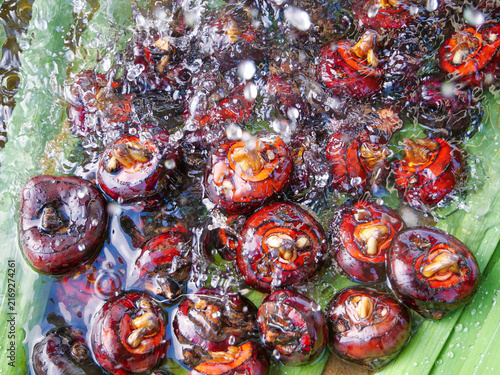 Fresh Water Chestnuts Being Washed on Banana Leaf - Asian Cooking Ingredients