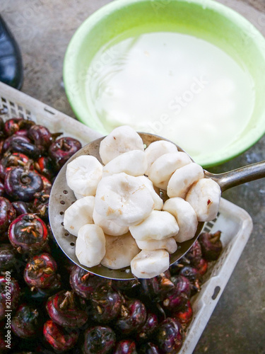 Fresh Water Chestnuts with Red Chilies Asian Cooking Ingredients Kitchen Preparation