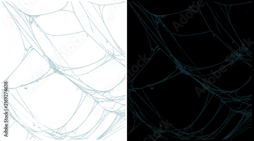 Cuadro en lienzo Spooky spider web illustration set, realistic cobweb textures on black and white