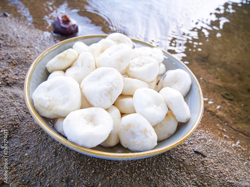 Fresh White Dumplings in Ceramic Bowl on Wet Stone Surface - Traditional Asian Food
