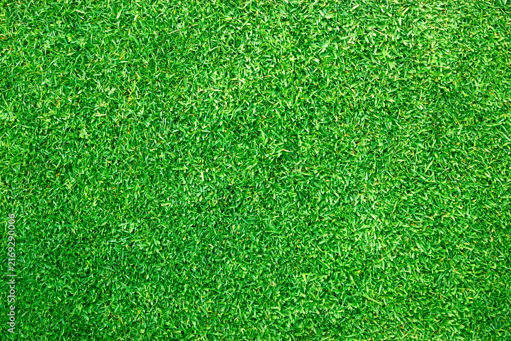 Obraz premium grass background Golf Courses green