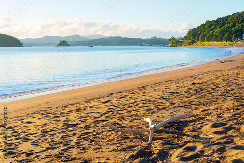 Idyllic calm blue water and golden sand at Te Ti Bay at Paihia