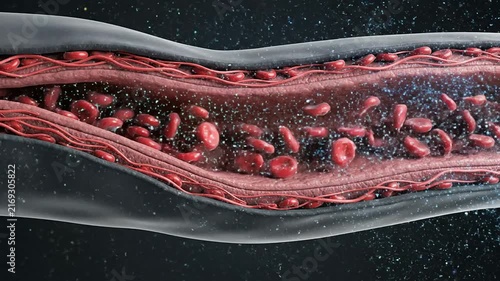 Stylized Visualization Of Nitric Oxide Effect In A Blood Vessel For Cardiovascular Relaxation And Wellness Concept With Dynamic Particles