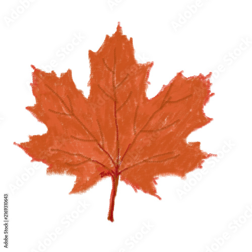 Textured Hand-Drawn Red Maple Leaf Isolated 

