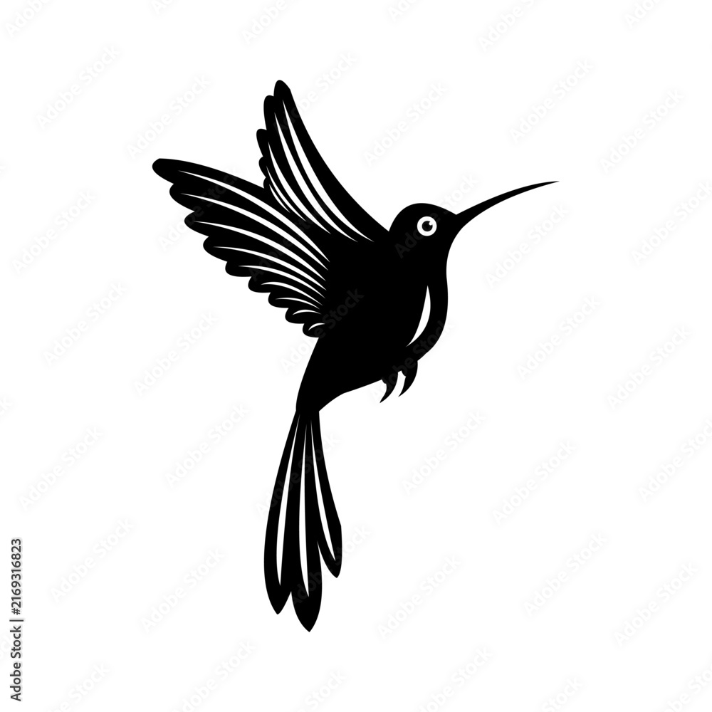 Fototapeta premium honey bird