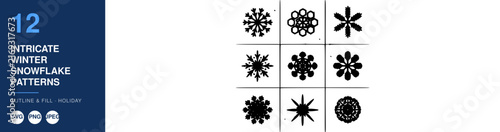 Snowflakes Intricate Winter Pattern Set with Detailed Designs. Decorative Elements for Seasonal Backgrounds and Festive Illustrations.