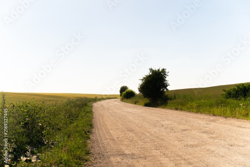 Rural Dirt Road Through Green Countryside