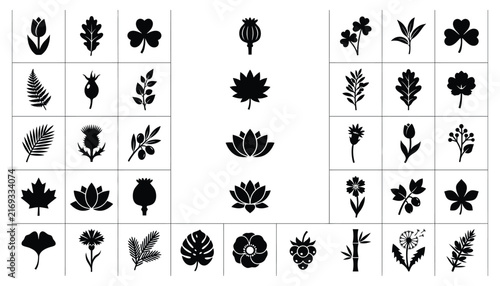 Botanical Silhouettes Collection of Leaves Flowers and Plant Branches for Natural Floral Designs