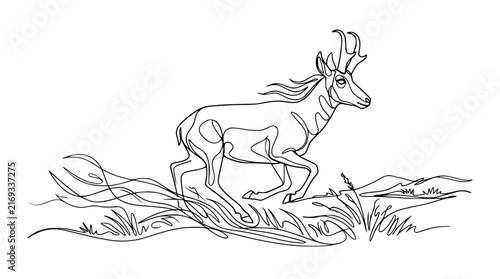 Pronghorn Antelope Running in Grass Landscape Line Art Illustration