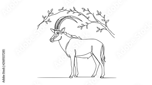Sable Antelope Continuous Line Drawing Isolated on Transparent Background