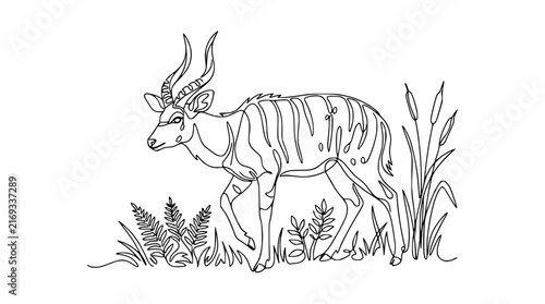 Nyala Antelope Line Art Drawing Isolated on Transparent Background
