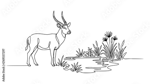 Continuous line drawing of an antelope near water and reeds, isolated on white