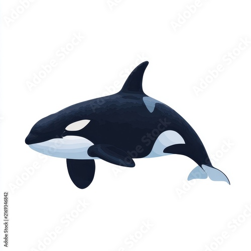 Pixel Art Orca Whale Swimming Isolated On A Plain White Background
