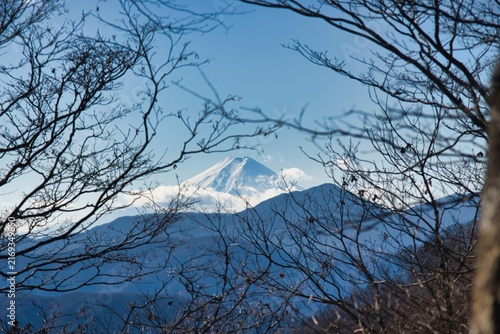 雲取山 登山 風景