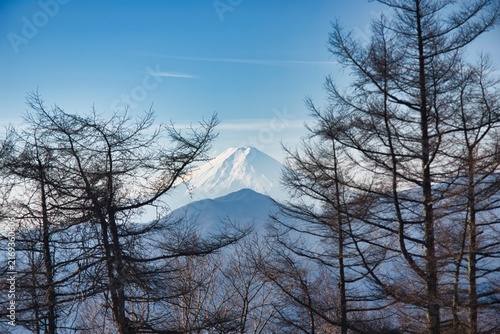 雲取山 登山 風景